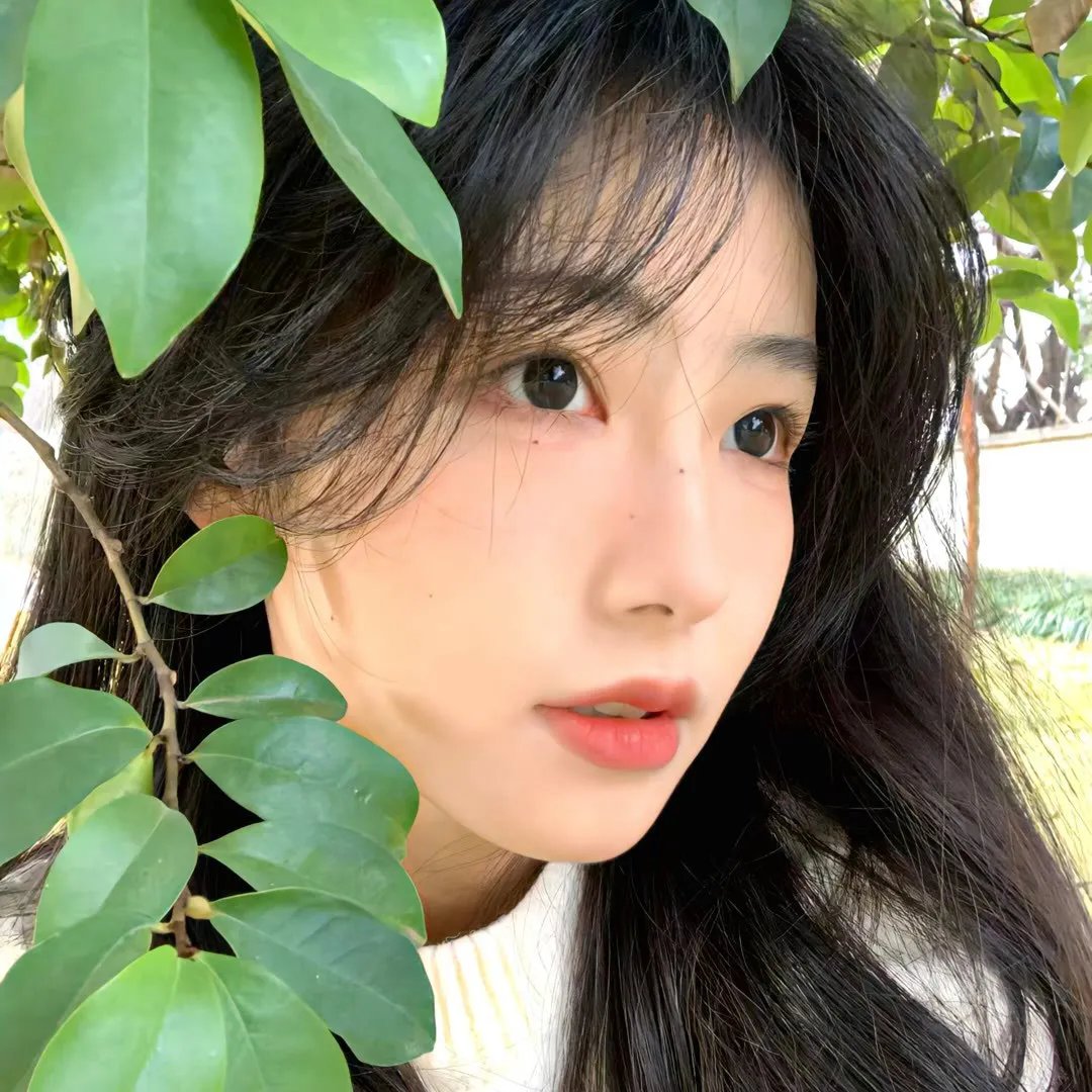 巴西香粉寮封面